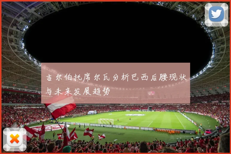 吉尔伯托席尔瓦分析巴西后腰现状与未来发展趋势